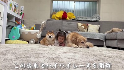 まさかのハイハイレース開幕