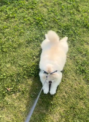 あまりに歩かないと…