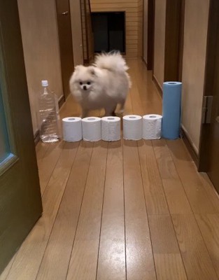 どうやって突破する？？