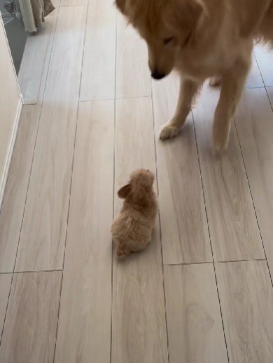 緊張するけれど…