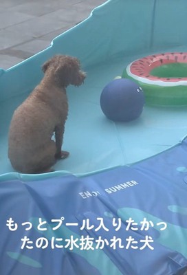 「もっと遊びたかったのに…！」