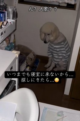 ハムスターを見ていた大型犬