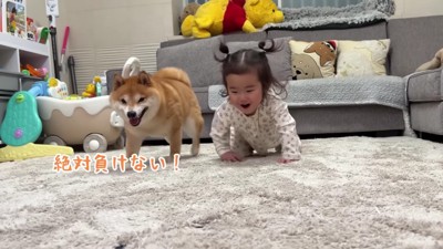 うっかり不正するうにくん