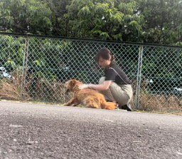 女性に体を撫でられるボサボサの犬