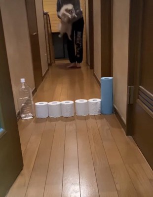 トイレットペーパーチャレンジに挑戦