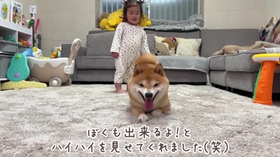 「ハイハイなら僕もできるよ！」