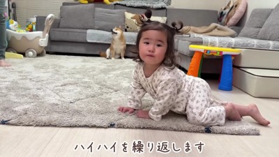 ハイハイにハマっちゃった♪