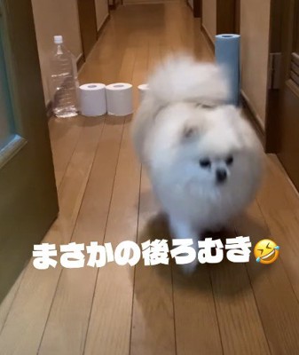 逆にすごい！？