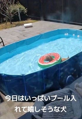 後日、プールで遊ばせてあげたら…