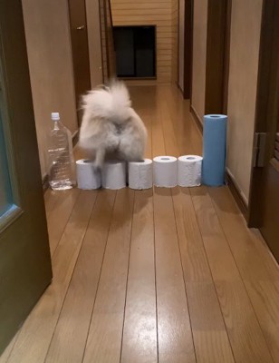 後ろ向きになった！