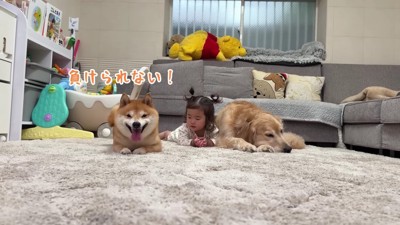 うにくんがチャンピオン！？