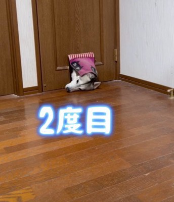 諦めず二度目の挑戦！！