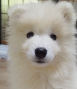お迎え