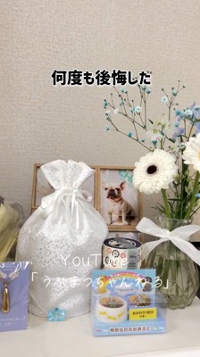お兄ちゃん犬の遺影と骨壺