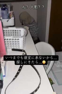 まるで人影のような大型犬