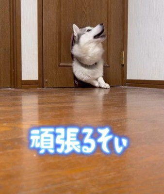 三度目の正直！！