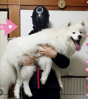 5倍