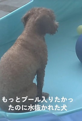 哀愁漂う背中