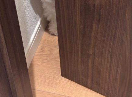 ドア