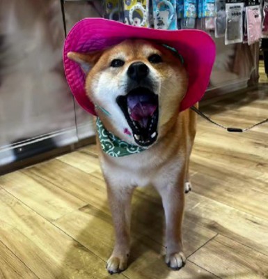 ビビッドカラーもお手の物♪