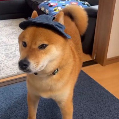 「これは僕のだから！」