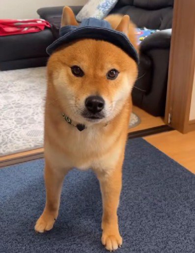 思わぬ事態が発生