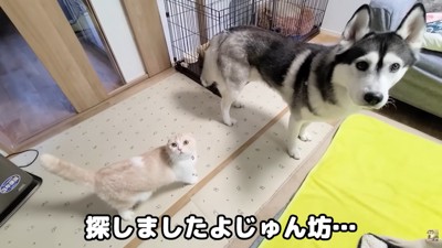 「一体どこにいたの…？」「内緒♪」