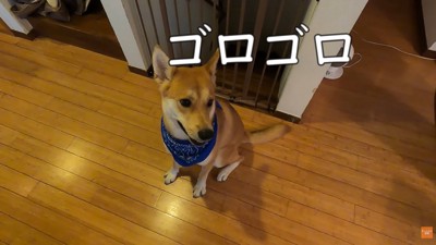雷が鳴っています