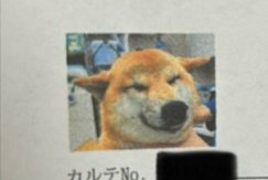 顔写真