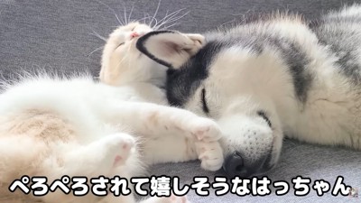 安心してお昼寝再開♡