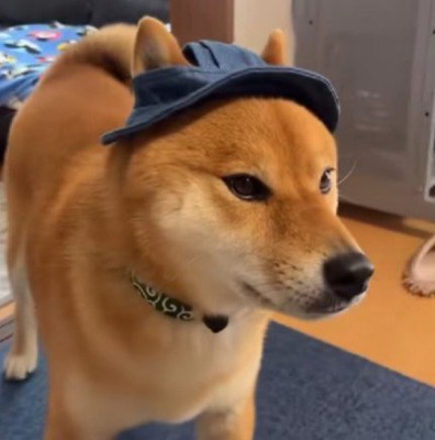 サイズが小さすぎる！！
