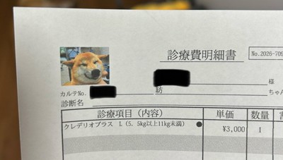粋な