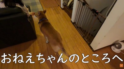 お姉ちゃんのそばへ