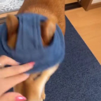取ろうとすると…