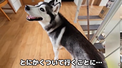 ついて行ってみると…？