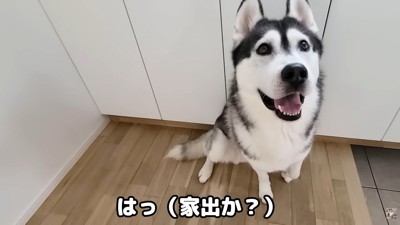 「もしかして…脱走した！？」