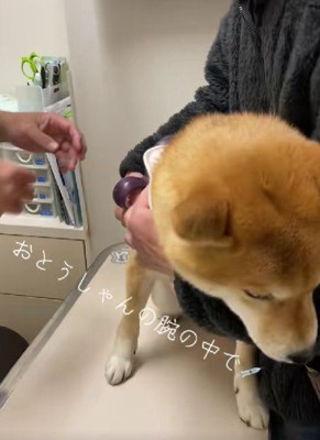 きた！！