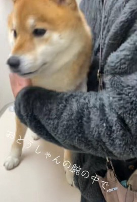 お利口すぎるころんちゃんでした♡