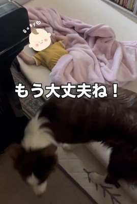 見守りを終えた犬