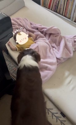 赤ちゃんのそばにいる犬