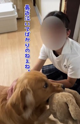 子供と大型犬