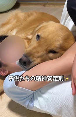 子供に寄り添う大型犬