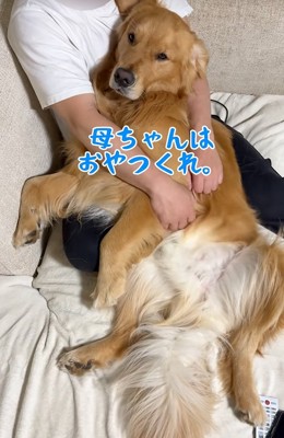 お父さんに甘える大型犬