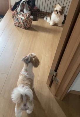 「私だよ！」とアピール