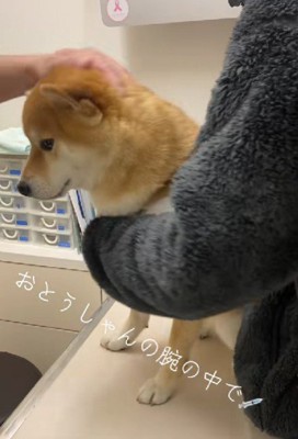 「まだかな……」