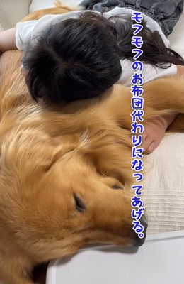 子供に寄り添う大型犬