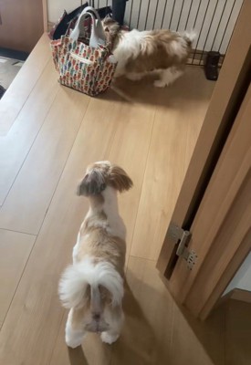 「怖いから隠れておこう…」