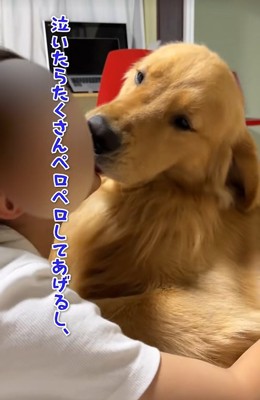 子供の顔を舐める大型犬