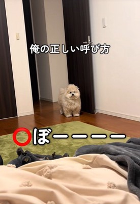 モフリシャスくんの呼び方4