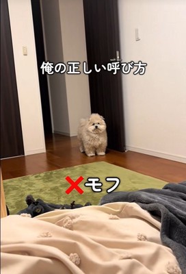 モフリシャスくんの呼び方